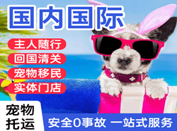 大武机场邮寄国际宠物托运 【国